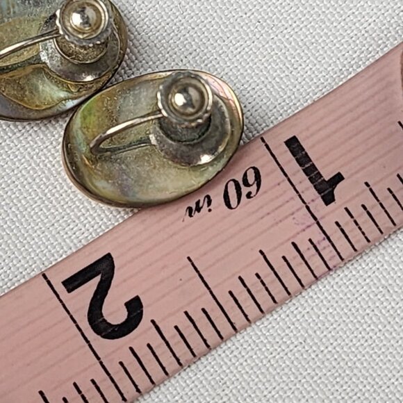 Vintage Abalone Schell Screw Back Earrings - Picture 5 of 5